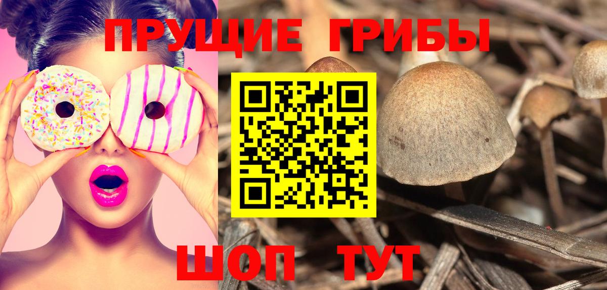Псилоцибиновые грибы мицелий  Галлюциногенные грибы Psilocybine cubensis  Вход с VPN  Россия 